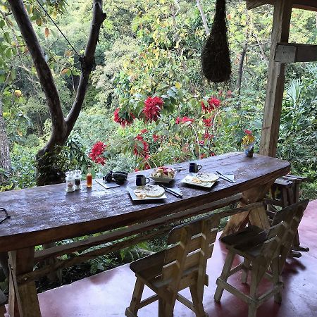 Finca San Rafael - Cafe Y Cacao 米卡 外观 照片