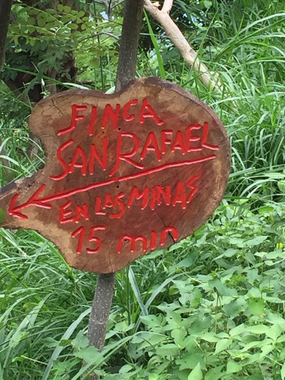 Finca San Rafael - Cafe Y Cacao 米卡 外观 照片