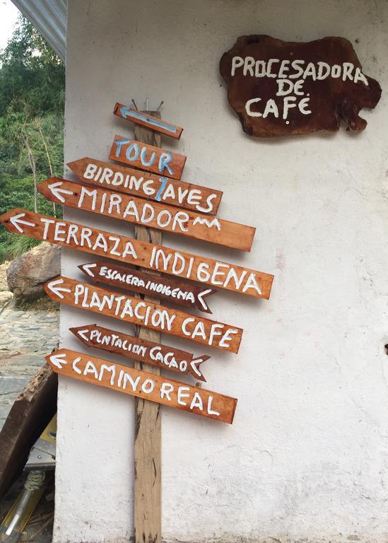 Finca San Rafael - Cafe Y Cacao 米卡 外观 照片