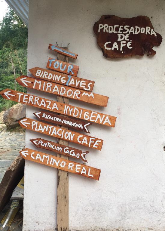 米卡Finca San Rafael - Cafe Y Cacao别墅 外观 照片
