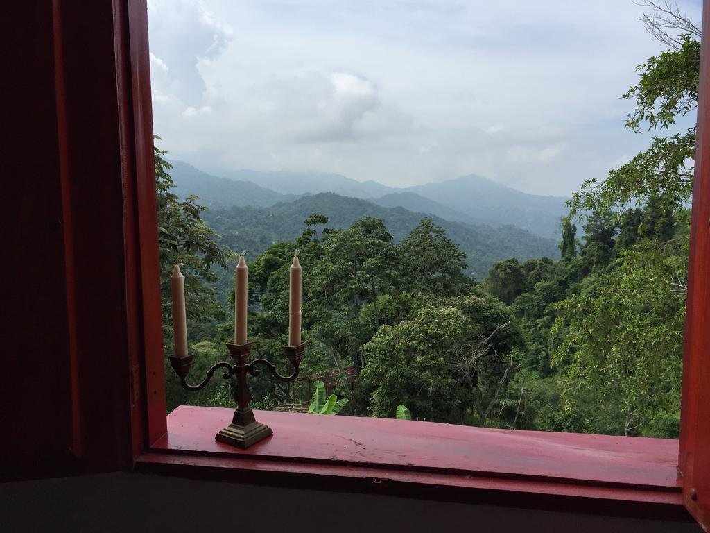 Finca San Rafael - Cafe Y Cacao 米卡 外观 照片