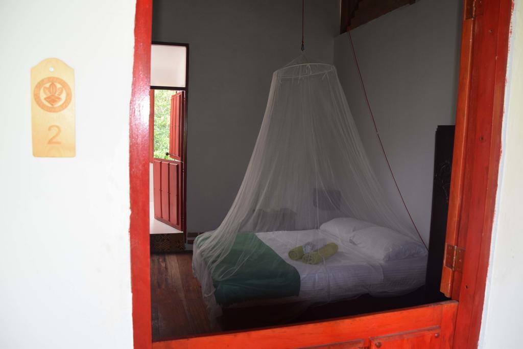Finca San Rafael - Cafe Y Cacao 米卡 外观 照片