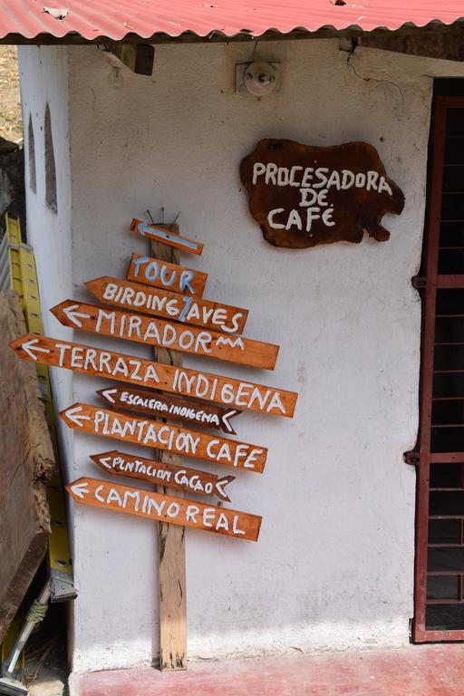 Finca San Rafael - Cafe Y Cacao 米卡 外观 照片