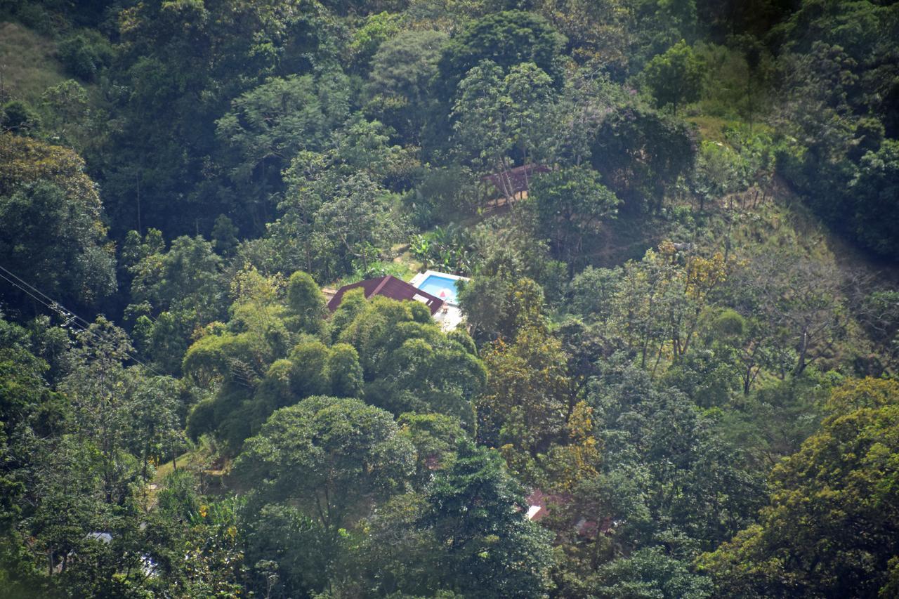 Finca San Rafael - Cafe Y Cacao 米卡 外观 照片
